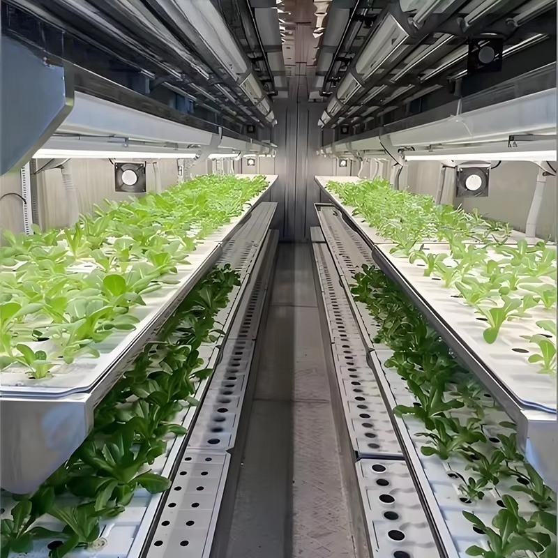ระบบปลูกพืชอัจฉริยะในภาชนะแบบแ - Urban Farming Hydroponic System บทวิจารณ์และราคา