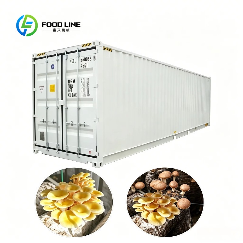 ฟาร์มปลูกพืชแบบไฮโดรโปนิกส์ในภ - Urban Farming Hydroponic System บทวิจารณ์และราคา