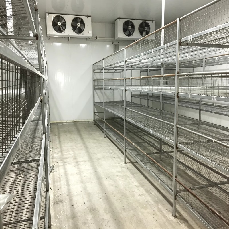 ฟาร์มปลูกพืชแบบไฮโดรโปนิกส์ในภ - Urban Farming Hydroponic System บทวิจารณ์และราคา