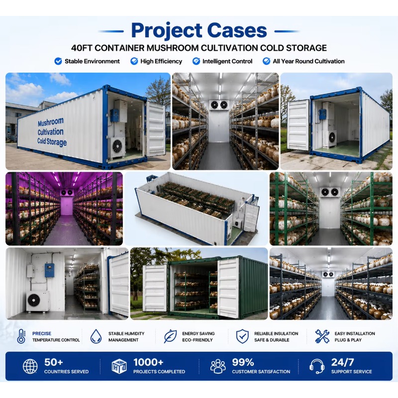 ฟาร์มปลูกพืชแบบไฮโดรโปนิกส์ในภ - Urban Farming Hydroponic System บทวิจารณ์และราคา